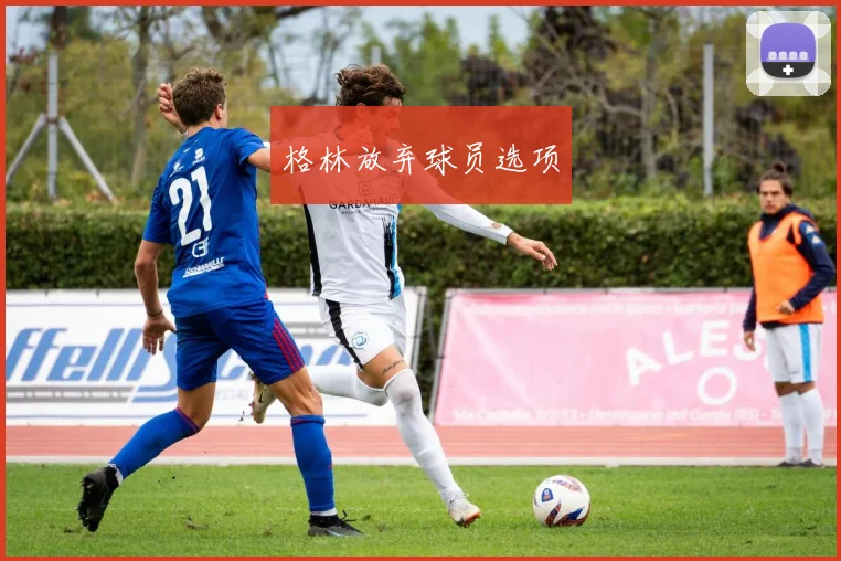 格林放弃球员选项
