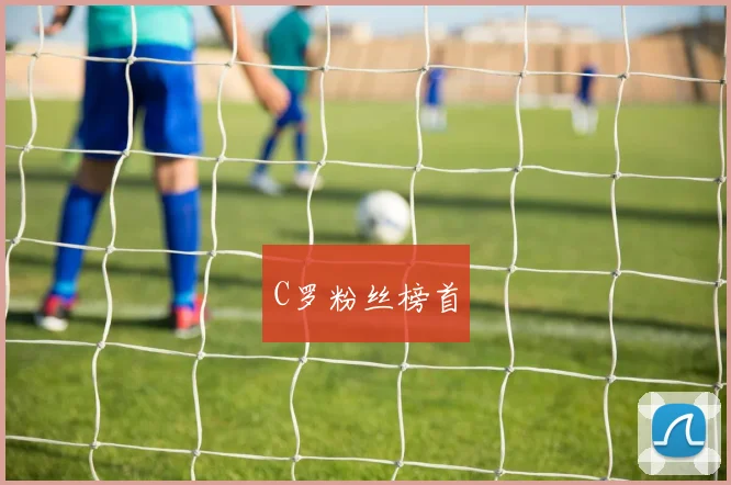 C罗粉丝榜首